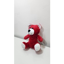 Pelüş Ayıcık 25 cm