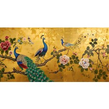 Aden  Tavus Kuşları  Dekoratif Kanvas Tablo