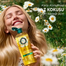Herbal Essences Papatya Kokulu Şampuan 350 ml