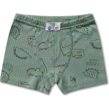 Giza Kids %100 Pamuklu Dinozor Desenli Erkek Çocuk Boxer Külot Iç Çamaşır 6lı Set