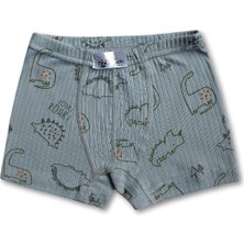 Giza Kids %100 Pamuklu Dinozor Desenli Erkek Çocuk Boxer Külot Iç Çamaşır 6lı Set