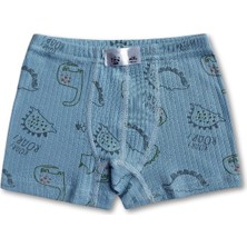 Giza Kids %100 Pamuklu Dinozor Desenli Erkek Çocuk Boxer Külot Iç Çamaşır 6lı Set