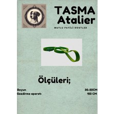 Tasma Atalier Orta Boy Gezdirmeli Köpek Tasması