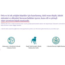 Unique Orta ve İri Irk Yetişkin Köpek Maması Kuzu Etli 12 kg