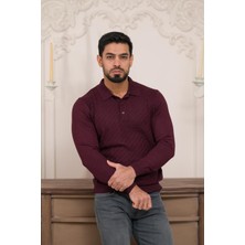 Woolen World Polo Yaka Slimfit Desenli Yünlü Erkek Triko Kazak