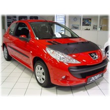 Peugeot 206 Plus Kaput Maskesi