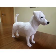 Poli Şeklinde Russel Terrier Köpeği