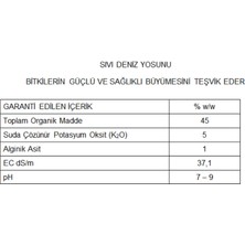 AREL CHEM PLANT NUTRİENTS Arel Chem Ascomın (Sıvı Deniz Yosunu - Fotosentez ve Bitki Gelişim Düzenleyicisi) 1 Lt'lik Ambalajda