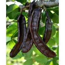 Silifke Market Keçiboynuzu (Harnup) Unu 500 gr