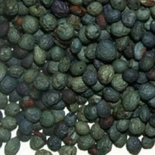Silifke Market Sütlü Toz Menengiç Kahvesi 250 gr