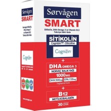 Sorvagen Smart Sitikolin Dha Omega 3 ve B12 30 Kapsül