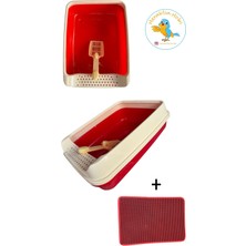 Store Açık Kedi Tuvaleti