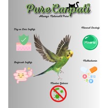 PureCanpati Tam Kuş Vitamin Ve Bakım Seti(Muhabbet,Paraket,Kanarya,Papağan)