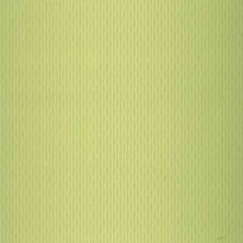 Prowall Boutıque Lıvıng Duvar Kağıdı (5m2) 149903