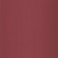 Prowall Boutıque Lıvıng Duvar Kağıdı (5m2) 149912