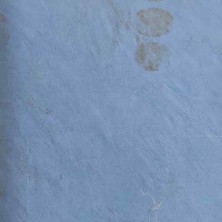 Prowall Fascınatıon Duvar Kağıdı 102501 (5m2)