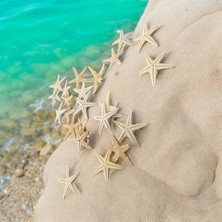 Ahmir Gerçek Deniz Yıldızı Gövde Çapı 0,5-0,7 mm (10 Adet ) Naturel Renk Takı Dekor Akvaryum