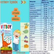 Tutti Frutti Balık Yağı 250 Ml-Vitboy Multivitamin-Mineral Içeren Takviye Edici Gıda 150 ml