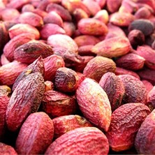 Ağaç Altı Antep Fıstığı