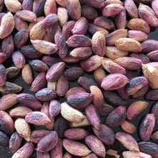 Ağaç Altı Antep Fıstığı