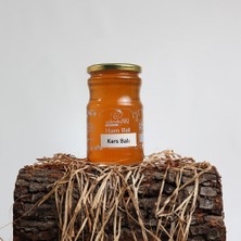 MühendisARI Kars Balı - 1 kg