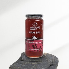 MühendisARI Keçiboynuzu Balı - 500 gr