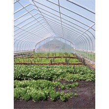 6X24 mt Kalın 24 Ay Sera Örtüsü Sera Naylonu 350 Micron Uv+Eva+Ld+Ab+Ir+Ao Katkılı