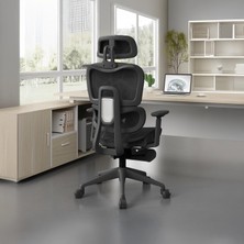 Karr Office Odessa Fonksiyonel Çalışma Koltuğu