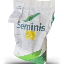Seminis Ribera Oturak Fasulye Tohumu 1 kg