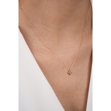 Diamine 14 Ayar Altın Bombeli Minik Kalpli Kolye