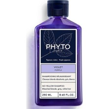 P. Violet Purple No Yellow Shampoo- Mor Şampuan 250ML