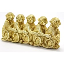 Exporanto Polyester 5 Maymun 019-805