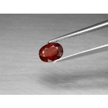 Aries 1.34 Ct 6.8x5 mm Oval Natural Medium Orange Spessartite Garnet, Mozambique