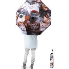 Marlux Yavru Kediler Yarasa Model 8 Telli Rüzgara Dayanıklı Manuel Şemsiye MARLUX381R01