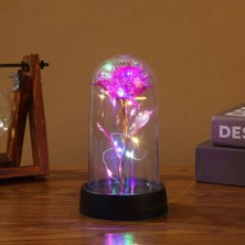 LED Işıklı Yapay Gül – Akrilik Kapaklı, Dekoratif ve Romantik Hediye, Sevgililer Günü, Anneler Günü ve Özel Günler Için Şık Tasarım, Çok Amaçlı Kullanım, Işıklı Ev ve Masa Dekoru