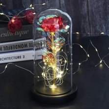 LED Işıklı Yapay Gül – Akrilik Kapaklı, Dekoratif ve Romantik Hediye, Sevgililer Günü, Anneler Günü ve Özel Günler Için Şık Tasarım, Çok Amaçlı Kullanım, Işıklı Ev ve Masa Dekoru