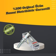 Ngk Bmw R1200 Gs/adv/rally Buji (2018) LMAR8AI-10