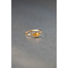 Aqua Di Polo 1987 Kadın Altın Taşlı Yüzük