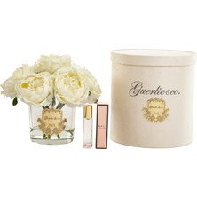 Guerlieandco Krem 7 li Şakayık Gold
