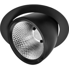 30W Hareketli Cob LED Spot Siyah Kasa 3000K Goldx