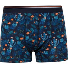 DeFacto Regular Fit Floral 3'lü Boxer E2923AX25SP