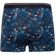 DeFacto Regular Fit Floral 3'lü Boxer E2923AX25SP