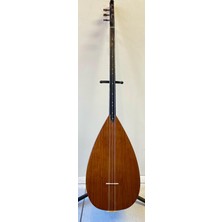 Artemis Profesyonel Uzun Sap Ardıç Bağlama
