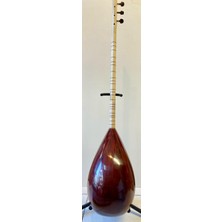 Artemis Profesyonel Uzun Sap Ardıç Bağlama