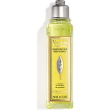 Citrus Verbena Besleyici ve Nemlendirici Şampuan 250 ml