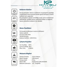 KAYSU 2HCP-160 Çift Kademeli Pompa