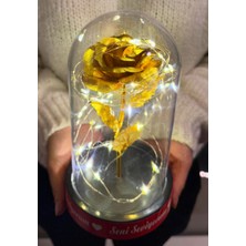 Lenostra Sevgiliye Ledli Fanus Içinde Gold Sonsuzluk Gülü Seni Seviyorum Yazılı Sevgiliye Özel Kız Arkadaşa