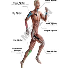 Kinesio Tape Medlon Sporcu Bandı Siyah