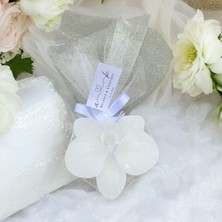 Papi Ajans Orkide Mum Düğün, Nişan, Nikah, Kına, Baby Shower, Özel Gün Hediyeliği