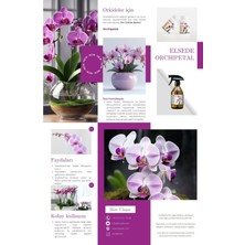 Orkide Besini Tomurcuk Bombası Çiçeklenmeyi Teşvik Eder Sprey (Orchipetal)